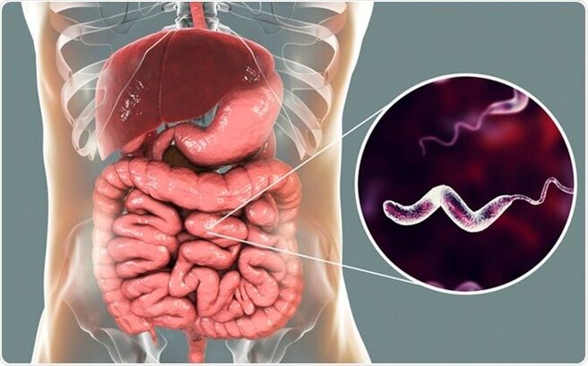 Parasites release toxins into the body, and Vermixin medicine will help you flush them out! 